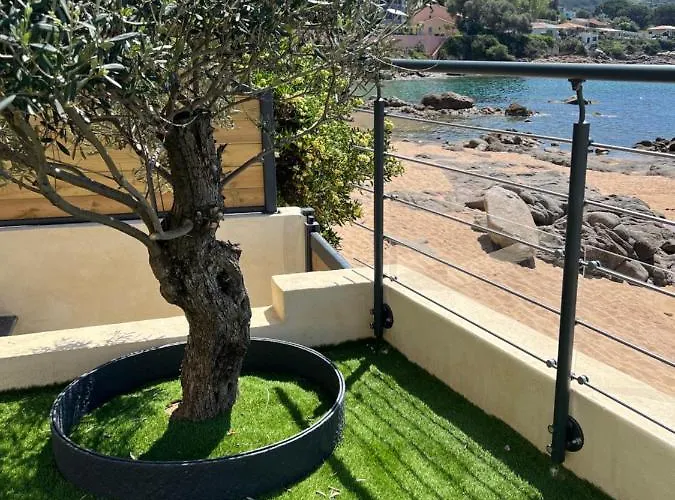 Pieds Dans L'eau, Tiuccia, 2-4 Pers דירה Casaglione