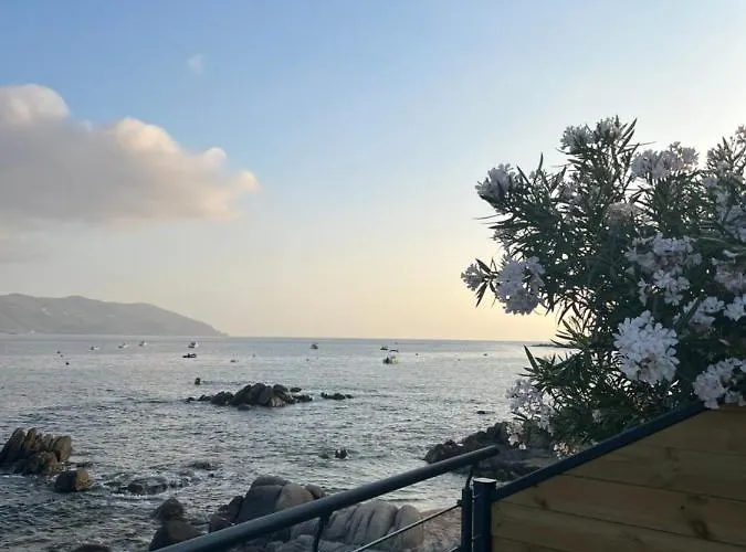 דירה Pieds Dans L'eau, Tiuccia, 2-4 Pers *