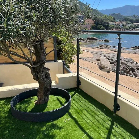 Pieds Dans L'eau, Tiuccia, 2-4 Pers 公寓 Casaglione